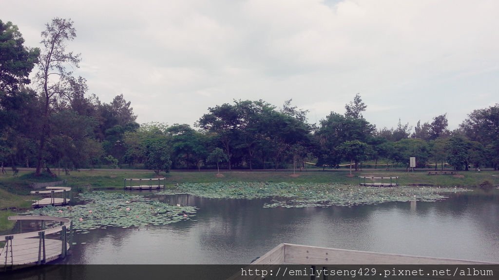 台東森林公園