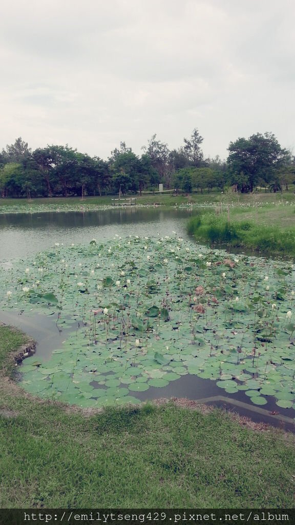 台東森林公園