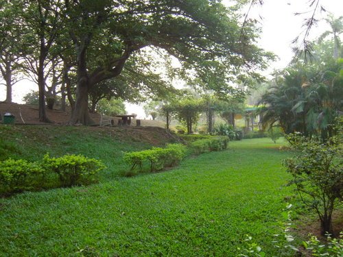 ap_F23_20110509021328525.jpg
