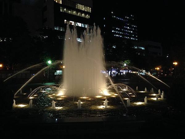 IMG_3211.JPG
