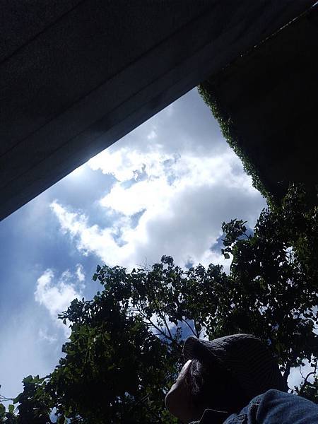 IMG20180708110143.jpg