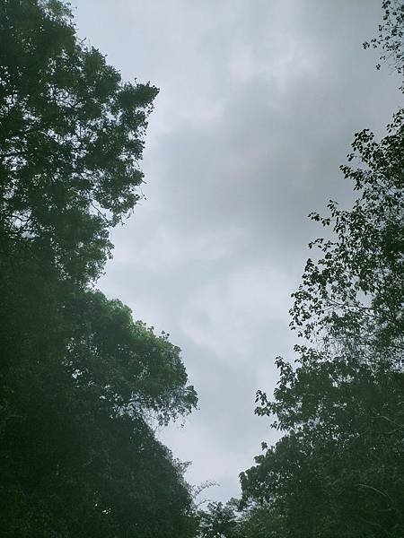 2021520_210520_386.jpg