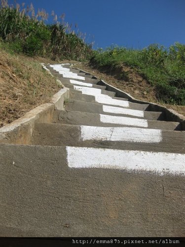 205