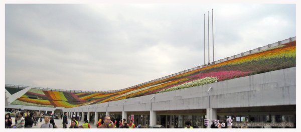 圓山公園區-爭艷館旁的商店屋頂花海-七道彩虹