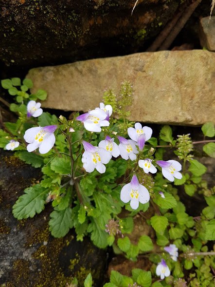 20170415_083040.jpg