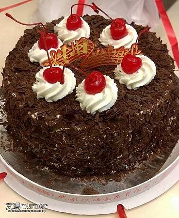 PhotoCap_005.jpg