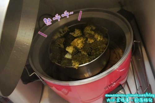 大寶寶版輕蔬咖哩