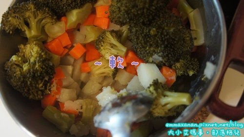 大寶寶版輕蔬咖哩