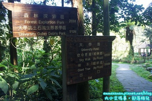 【放鬆在溪頭。夜宿青年會館】