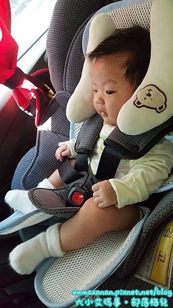 Amber 呼吸道融合病毒