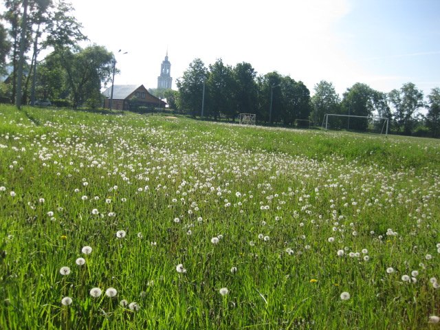 D3【俄羅斯】蘇茲達爾．Suzdal．Church of S