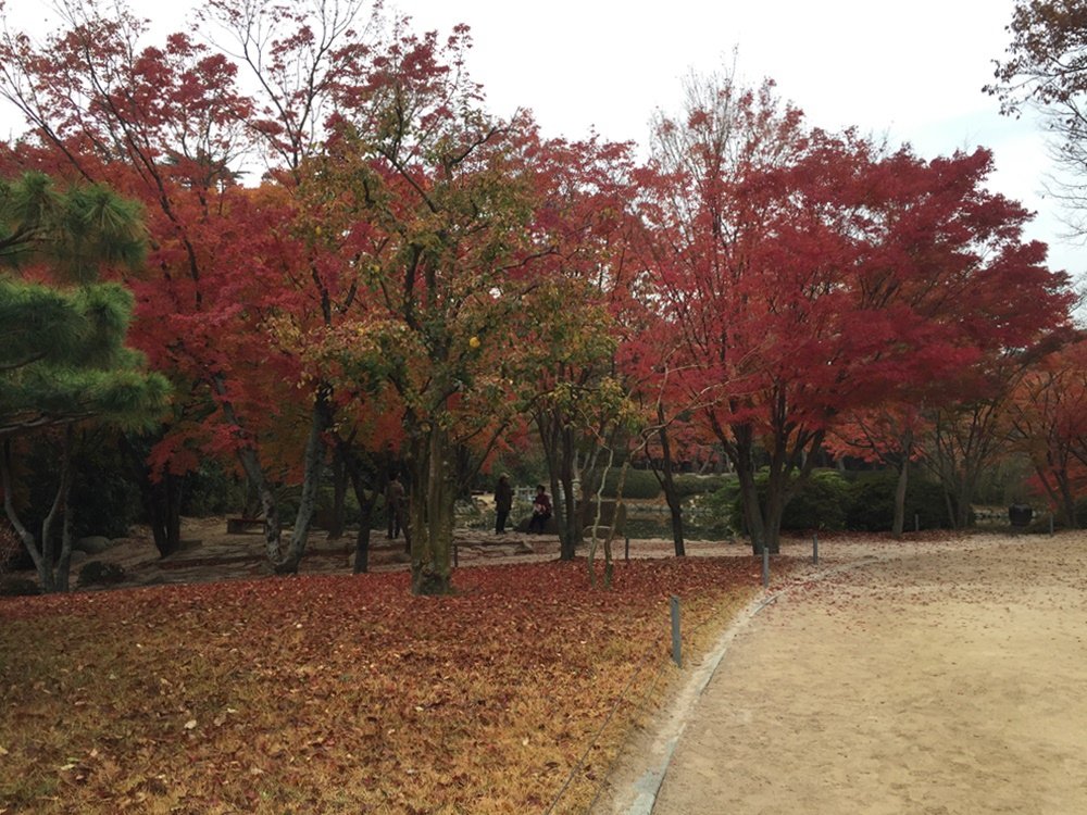 【韓國釜山】慶州世界文化遺產佛國寺．韓屋村崔氏古宅．午餐：韓