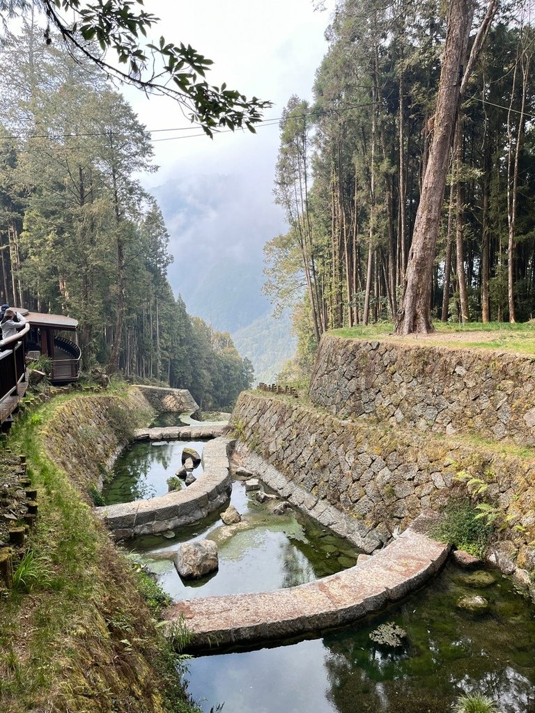 2023317 阿里山．沼平車站_230401_69.jpg