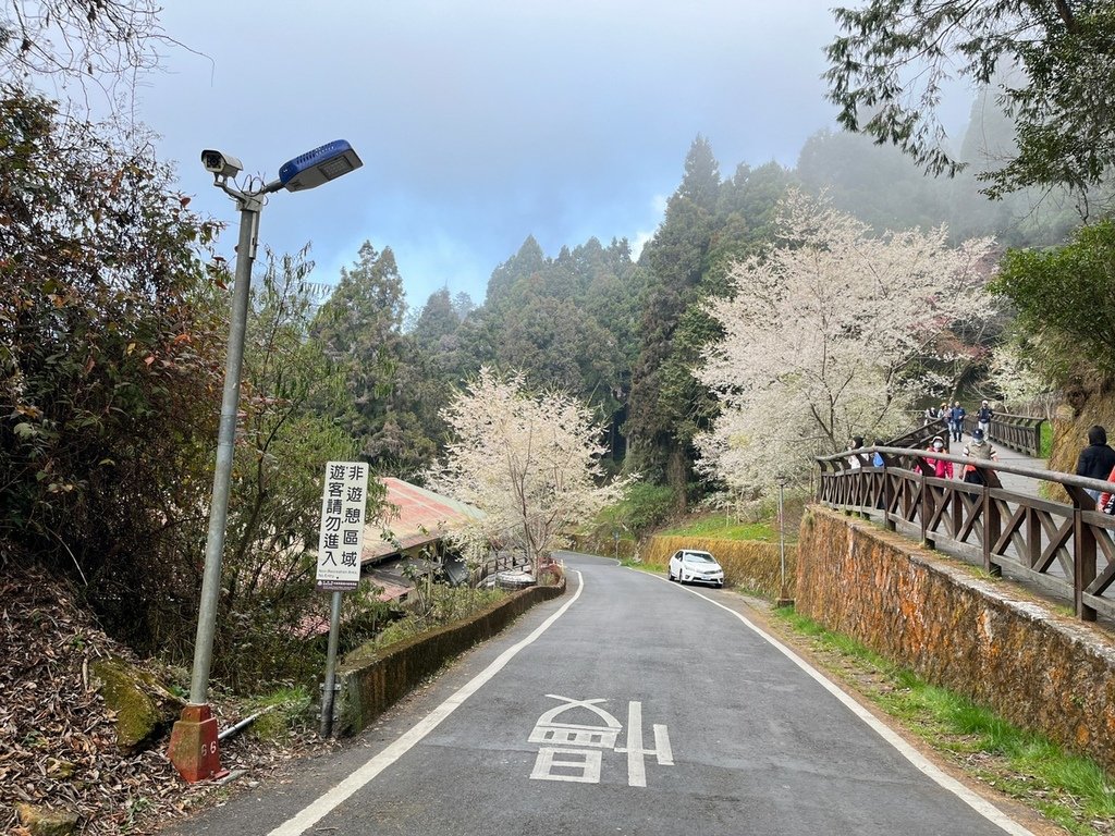 2023317 阿里山．沼平車站_230401_106.jpg