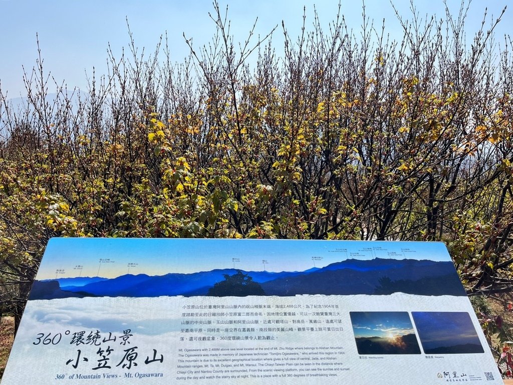 2023318 小笠原山_230401_22.jpg