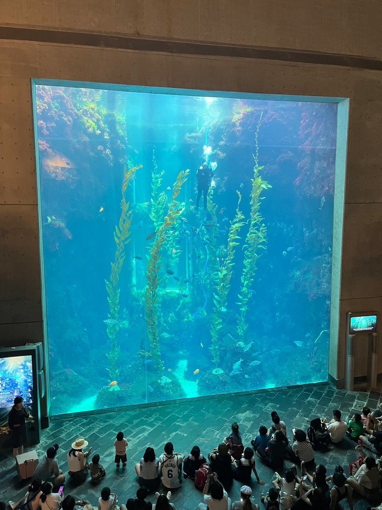 LINE_ALBUM_2023825 國立海洋生物博物館_230827_027.jpg