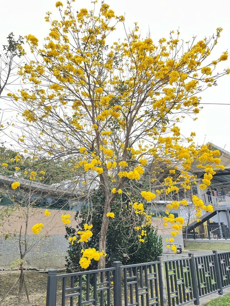 【南投】車籠埔斷層保存園區．竹香園甕缸雞竹山店．名間親子生態