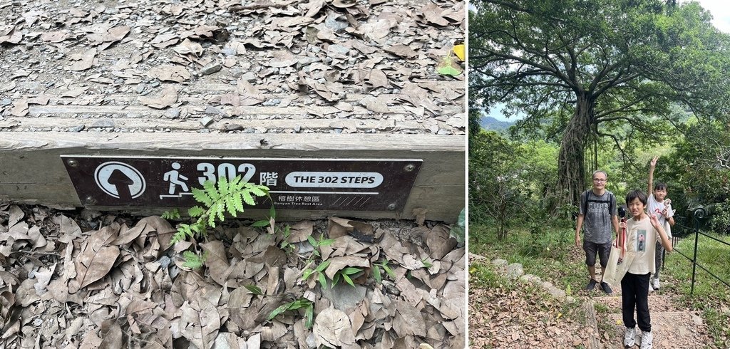 【台東】知本國家森林遊樂區．景觀步道．好漢坡步道