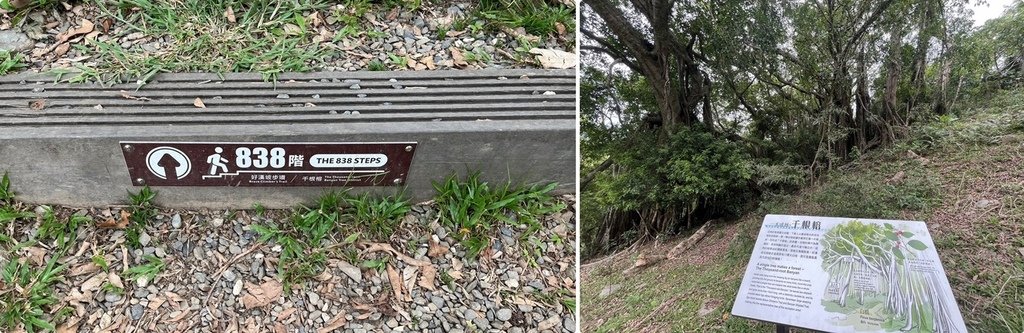 【台東】知本國家森林遊樂區．景觀步道．好漢坡步道