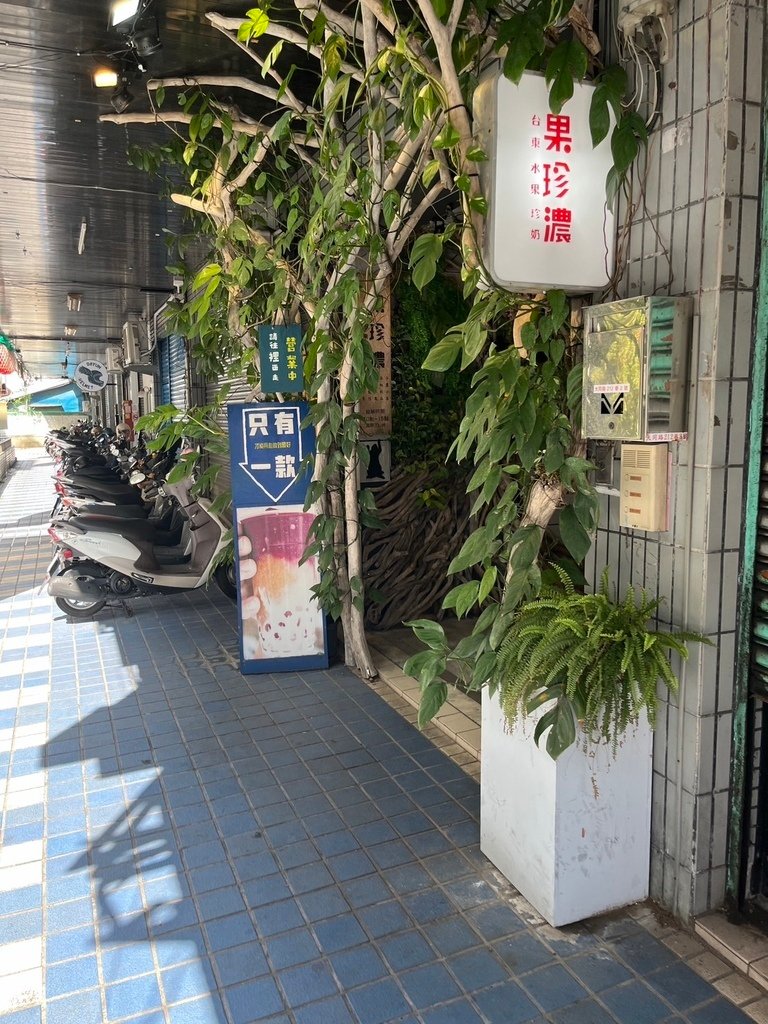 【台東】摩埃巨石人像．國立臺灣史前文化博物館．果珍濃台東水果