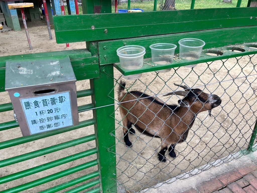 【嘉義】嘉義市立博物館．新港香藝文化園區