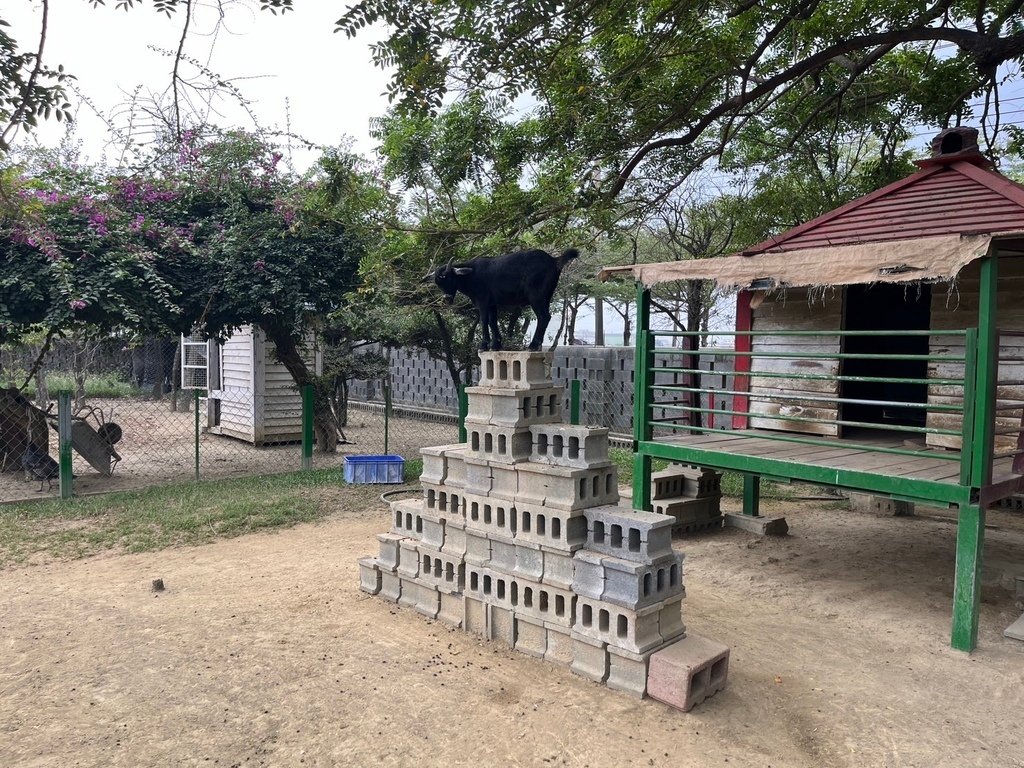 【嘉義】嘉義市立博物館．新港香藝文化園區