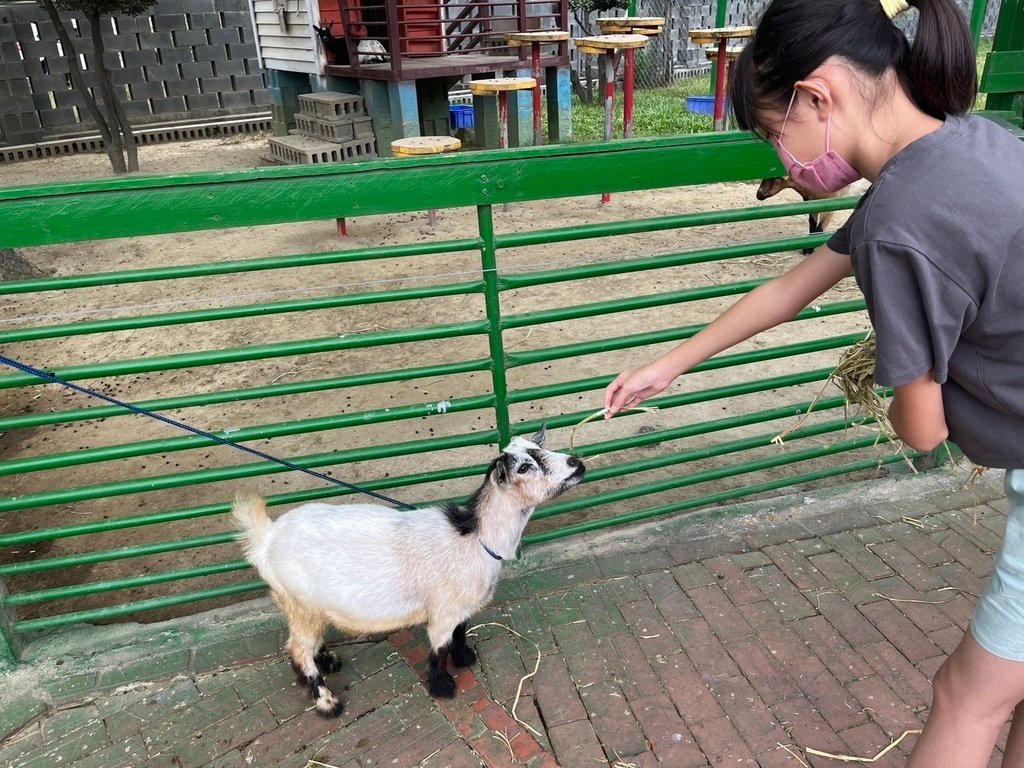 【嘉義】嘉義市立博物館．新港香藝文化園區