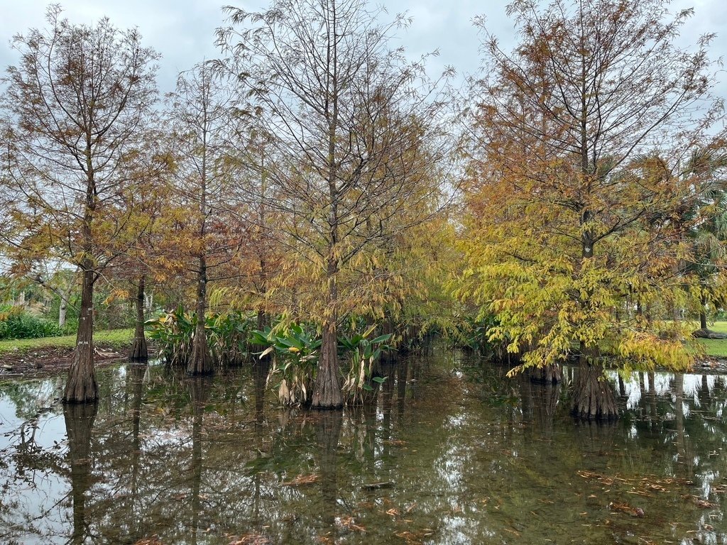 【花蓮】理想大地．經典閣樓套房．早餐