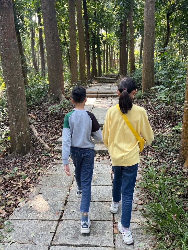 【台南】川文山森林保育農場