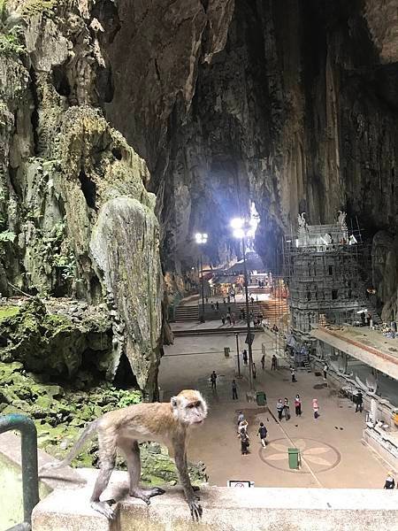 【馬來西亞旅遊攻略】七天行程保證豐富(上)