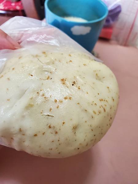 龜山市場美食|菜籃竹好夥伴|100%老麵|素食|Q彈有咬勁『