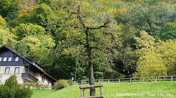 Liechtenstein82.JPG