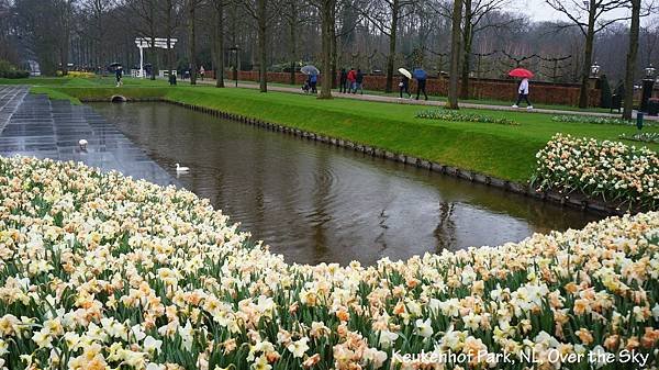 keukenhof Park005.JPG