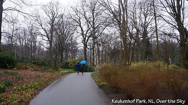 keukenhof Park015.JPG