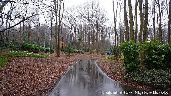 keukenhof Park016.JPG