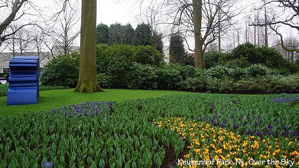 keukenhof Park027.JPG