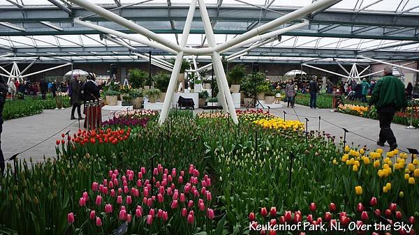 keukenhof Park032.JPG