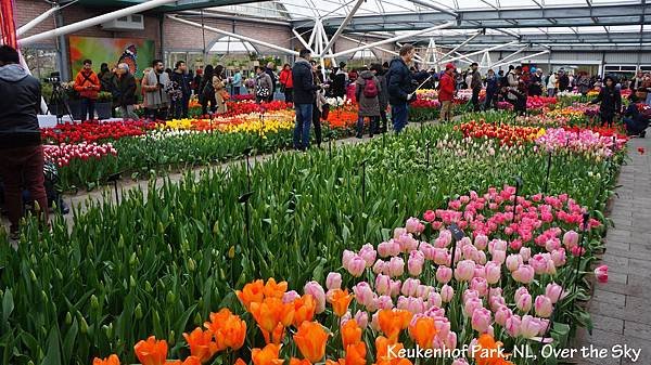 keukenhof Park031.JPG