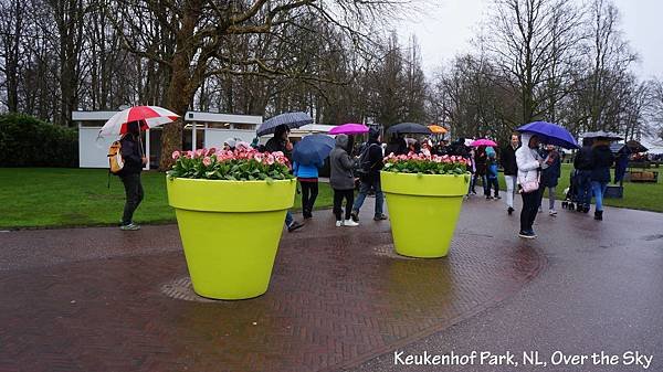 keukenhof Park034.JPG