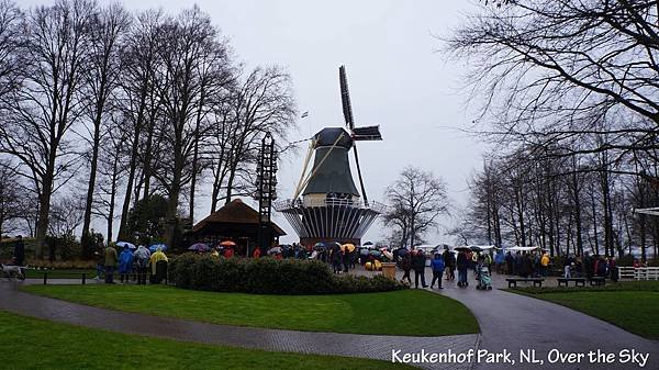 keukenhof Park035.JPG