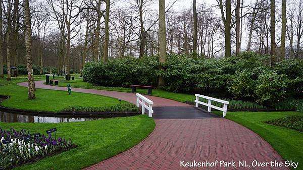 keukenhof Park046.JPG