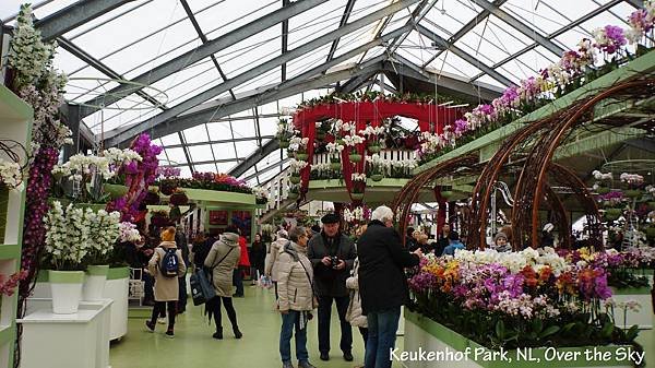 keukenhof Park045.JPG