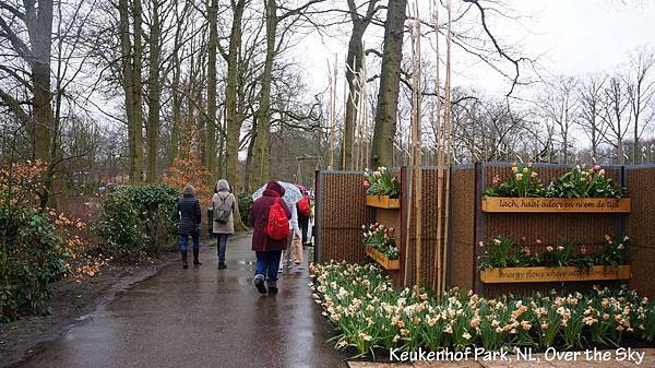 keukenhof Park050.JPG