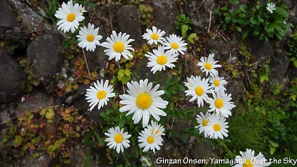 Ginzan Onsen001.JPG