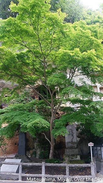 Matsushima009.JPG