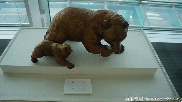 函館機場HKD005.JPG