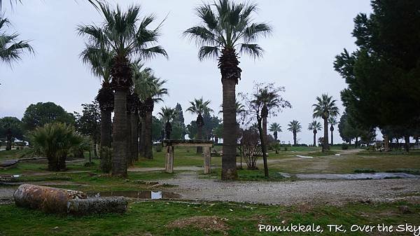 Pamukkale008.JPG