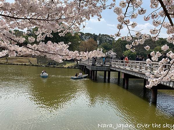 Nara017.jpg