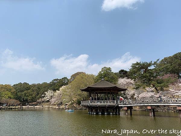 Nara020.jpg