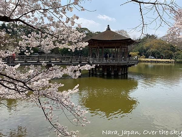 Nara018.jpg